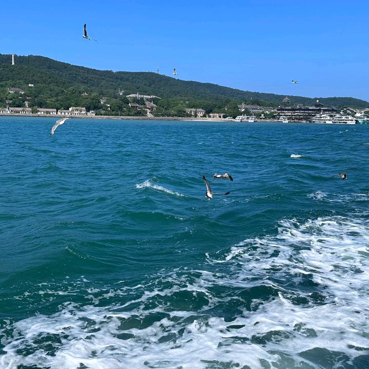 阿秀百货直播号