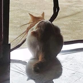 温舍予