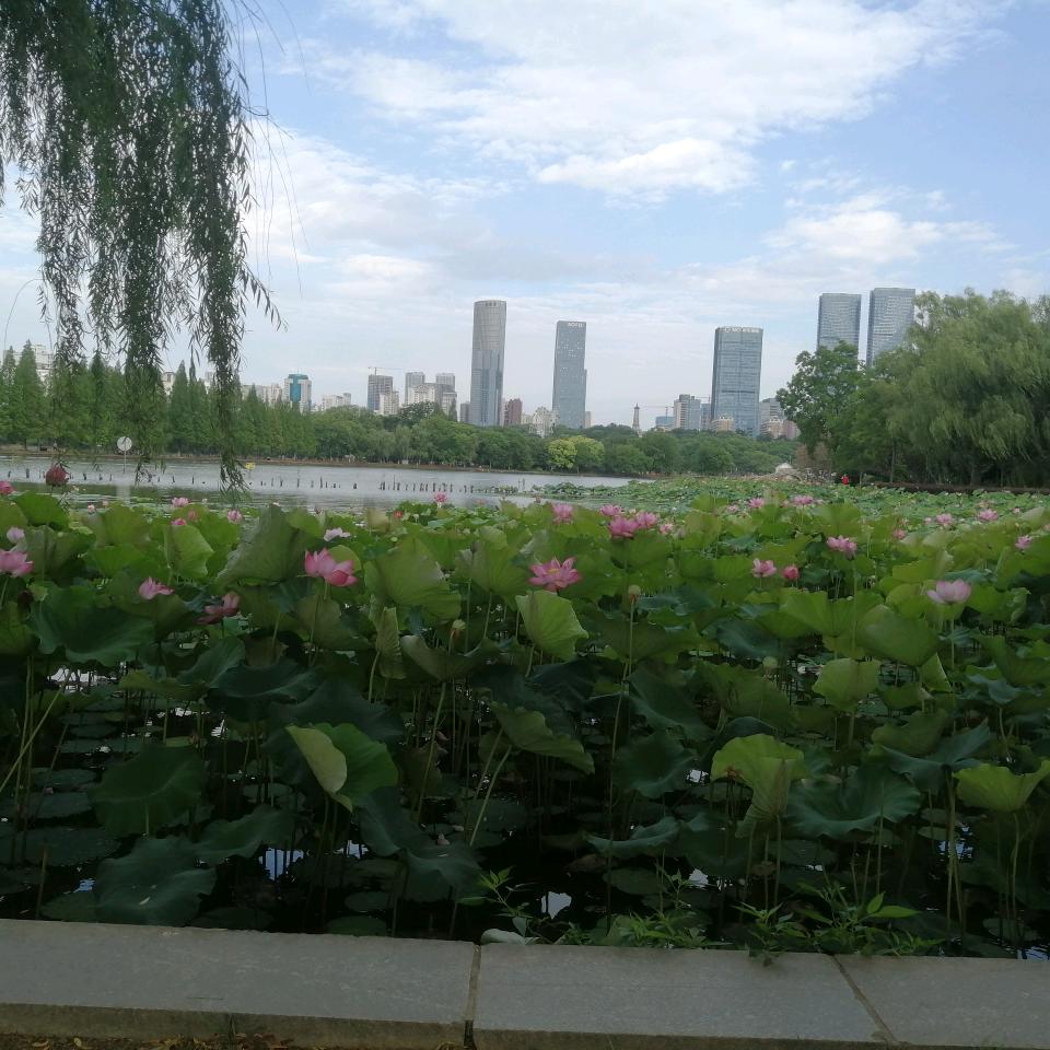 懒羊羊