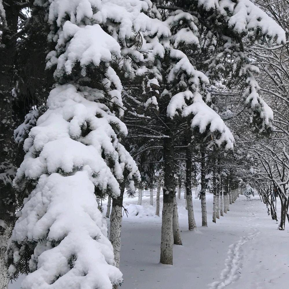 ♠️༊否极泰来༊♠️