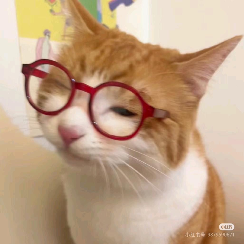 圆布隆咚