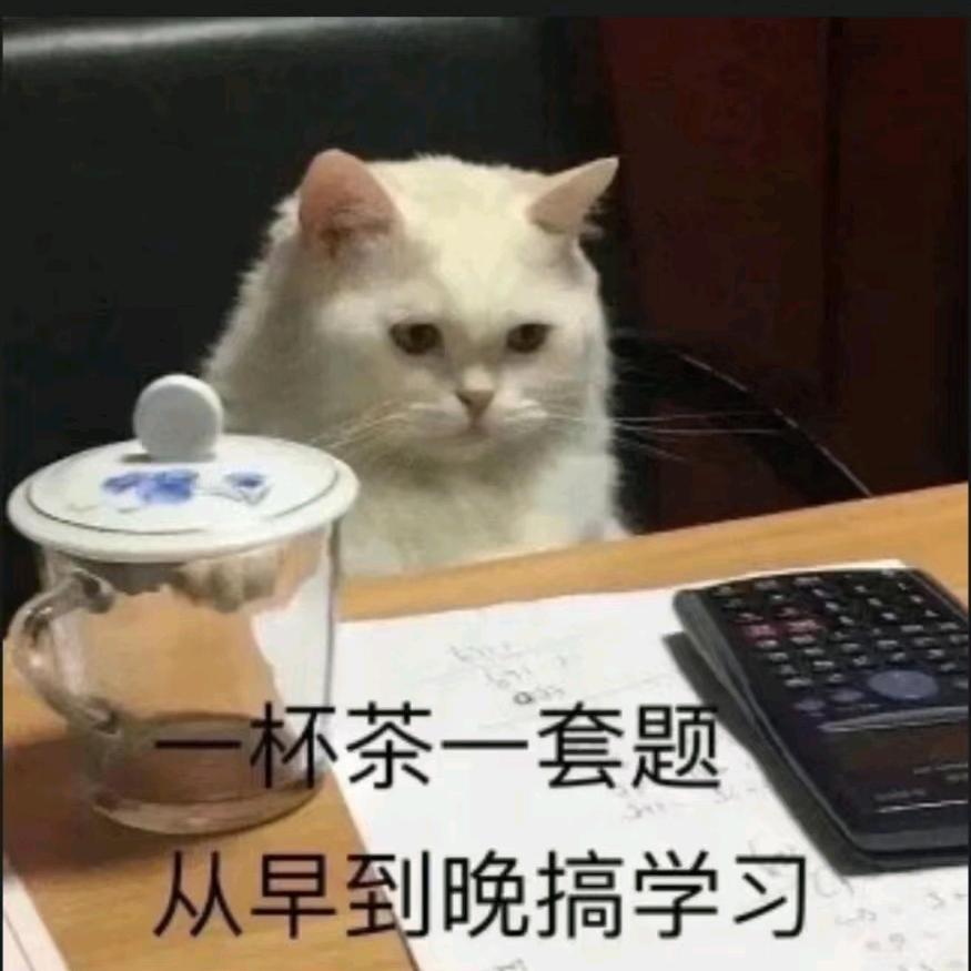 攀枝花市，肖