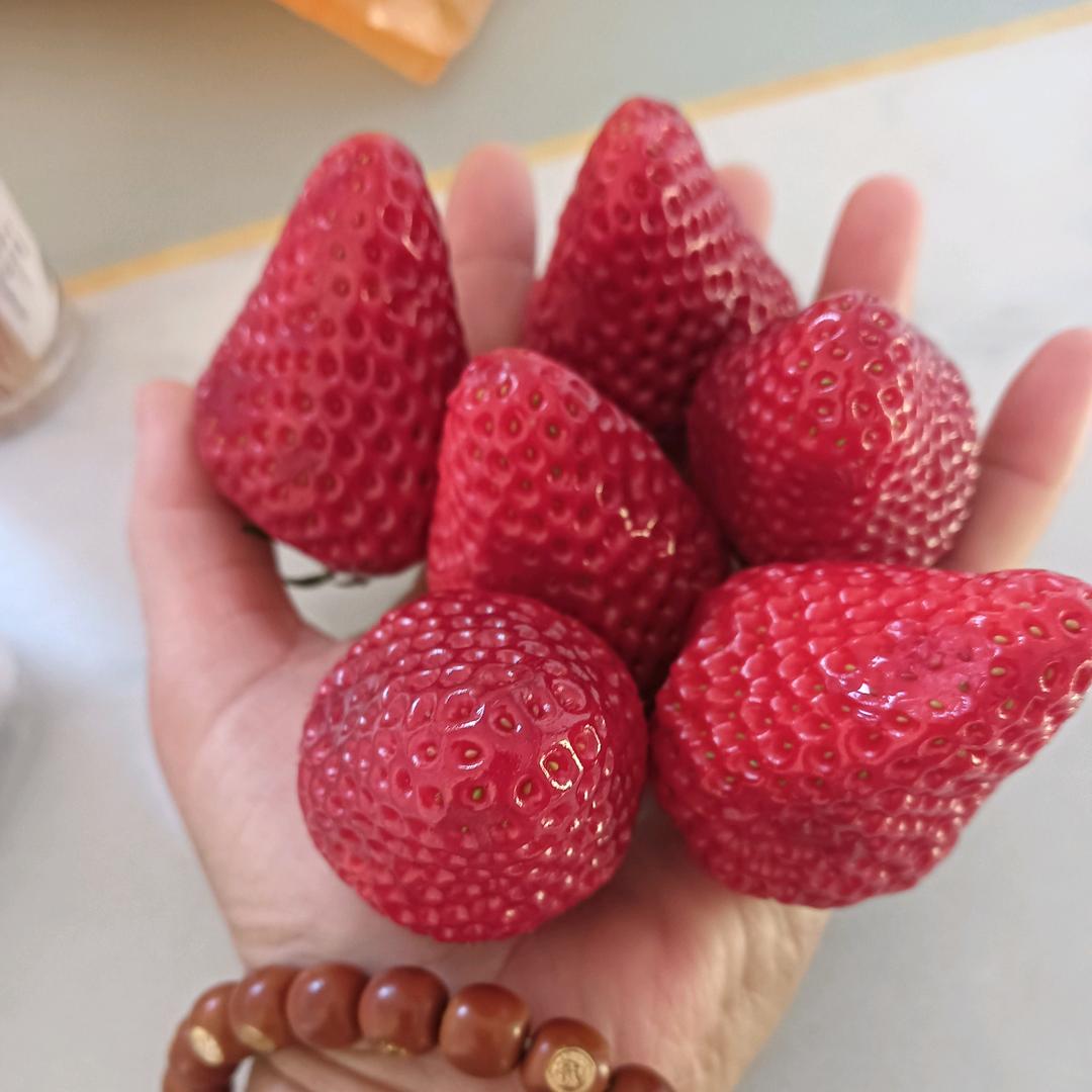 随心所欲