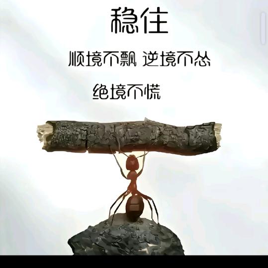 🎵꧔💞᭄᪲ᩚ꯭ᩚ陌💞᭄᪲ᩚ颜🌵