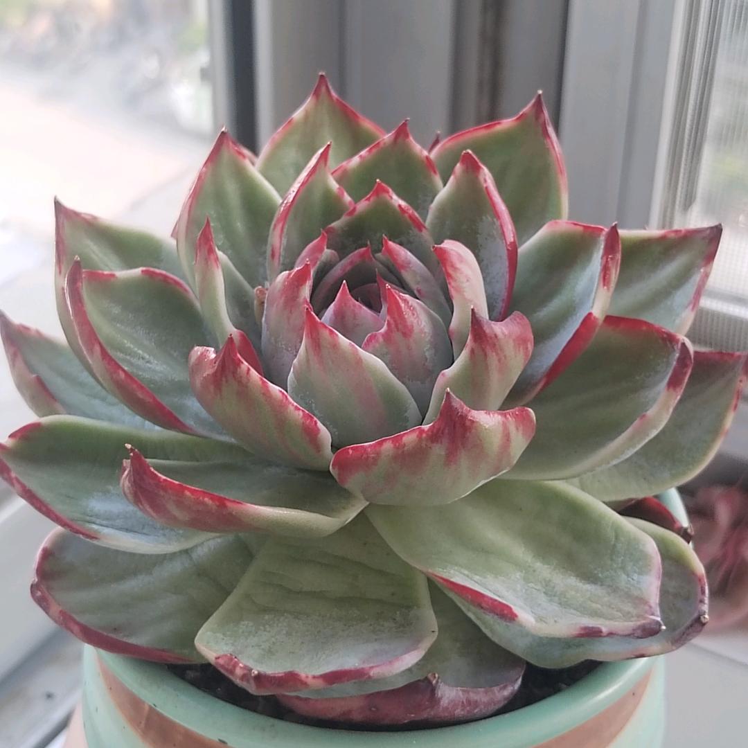 雾里看花♡