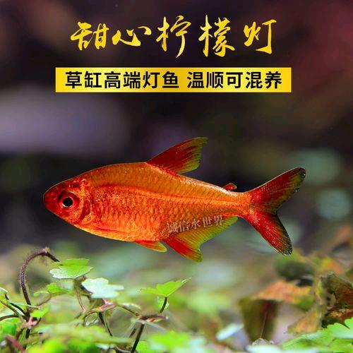 照射在大地的暖阳