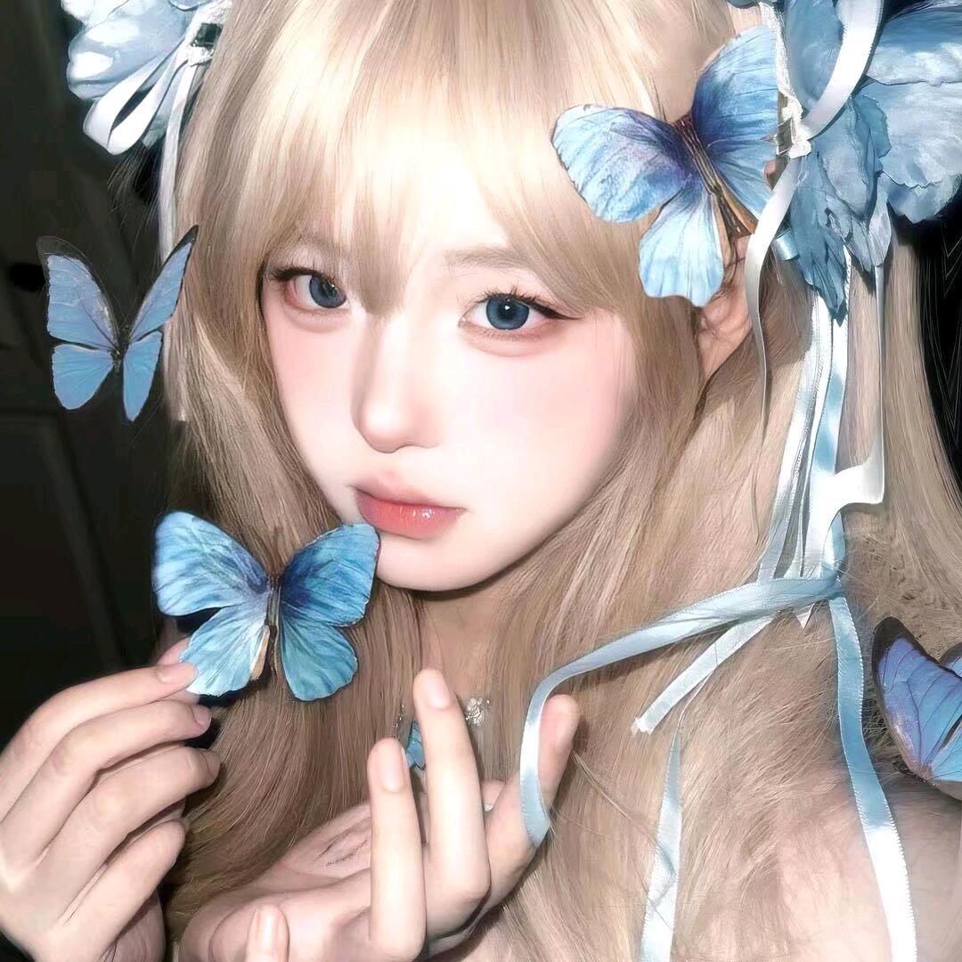 芋的圆