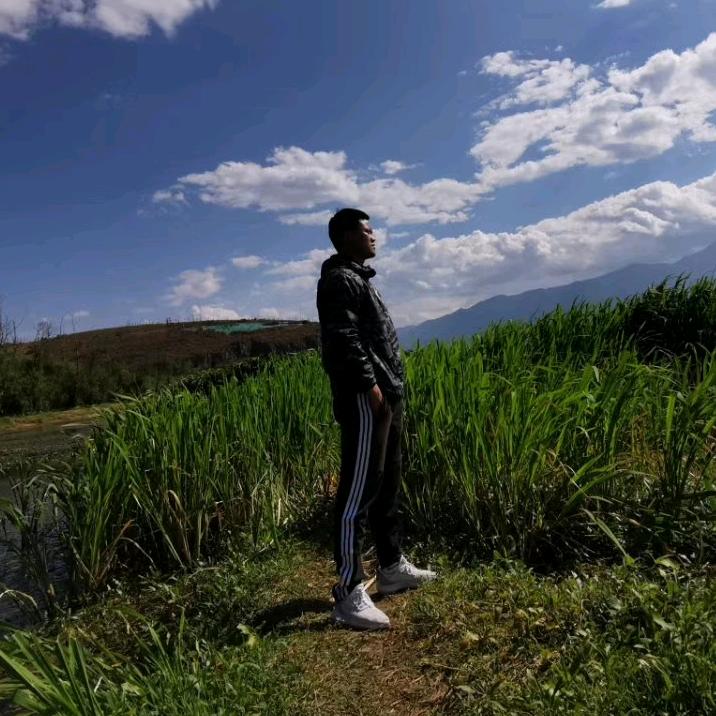 照翀