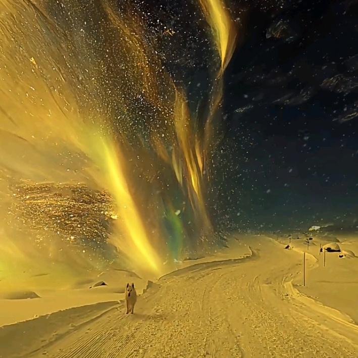 手握风云(张果老驴肉火烧)