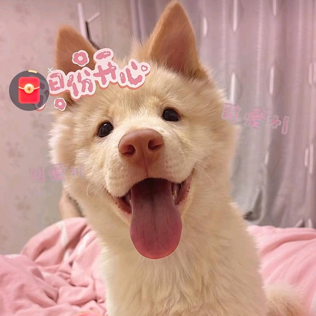 🥤喝个🉑乐吧丶
