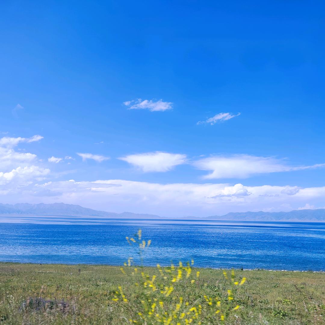 淼淼