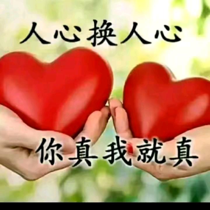 人心换人心，你真我就真