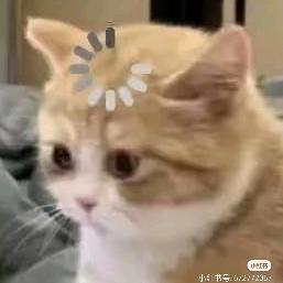 乱炖游菜花