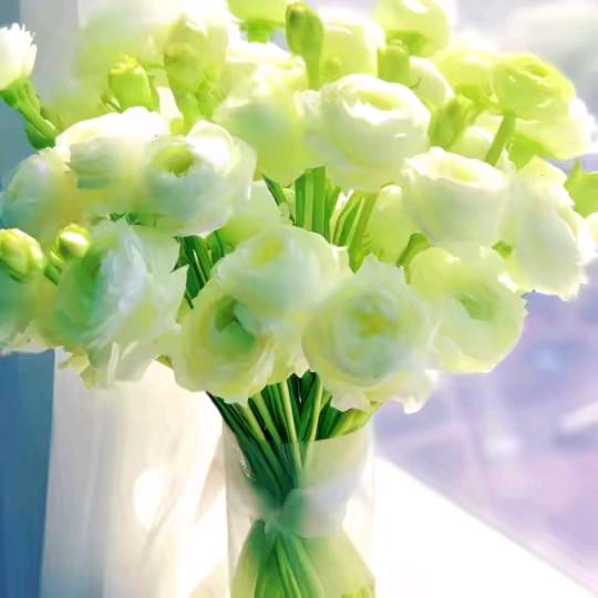 雨过天晴🌹🌹🌷🌷🥀🥀🌺🌺