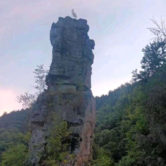 王者财富
