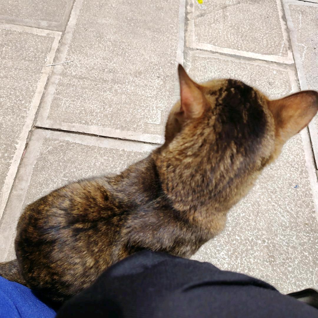 世界第一福殿下