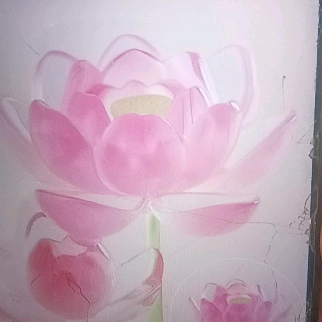 北斗电子商行rewbf1直播号