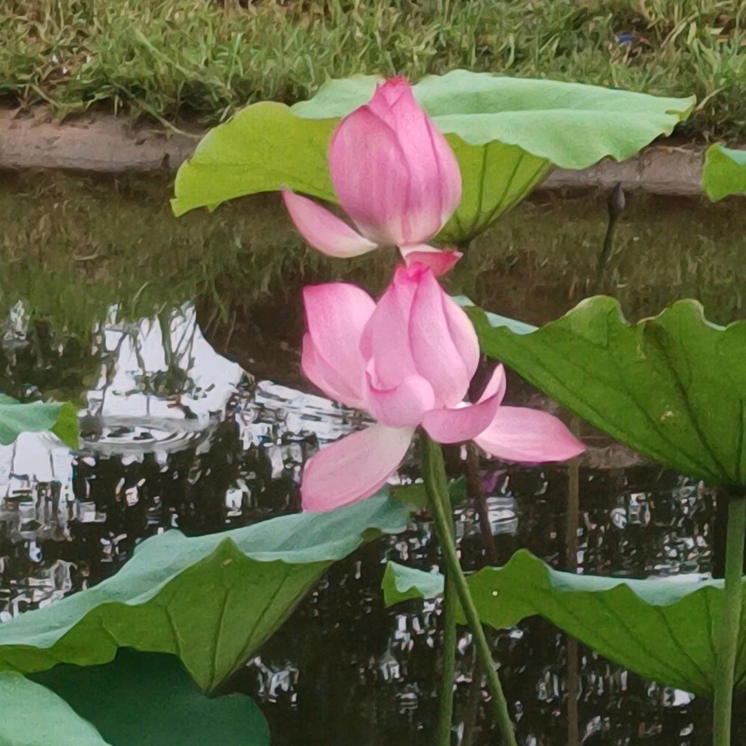 🚬ᐝ᭄独行⿻俗人🍻࿐