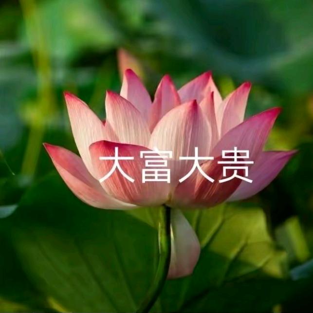 萧萧的幸福生活