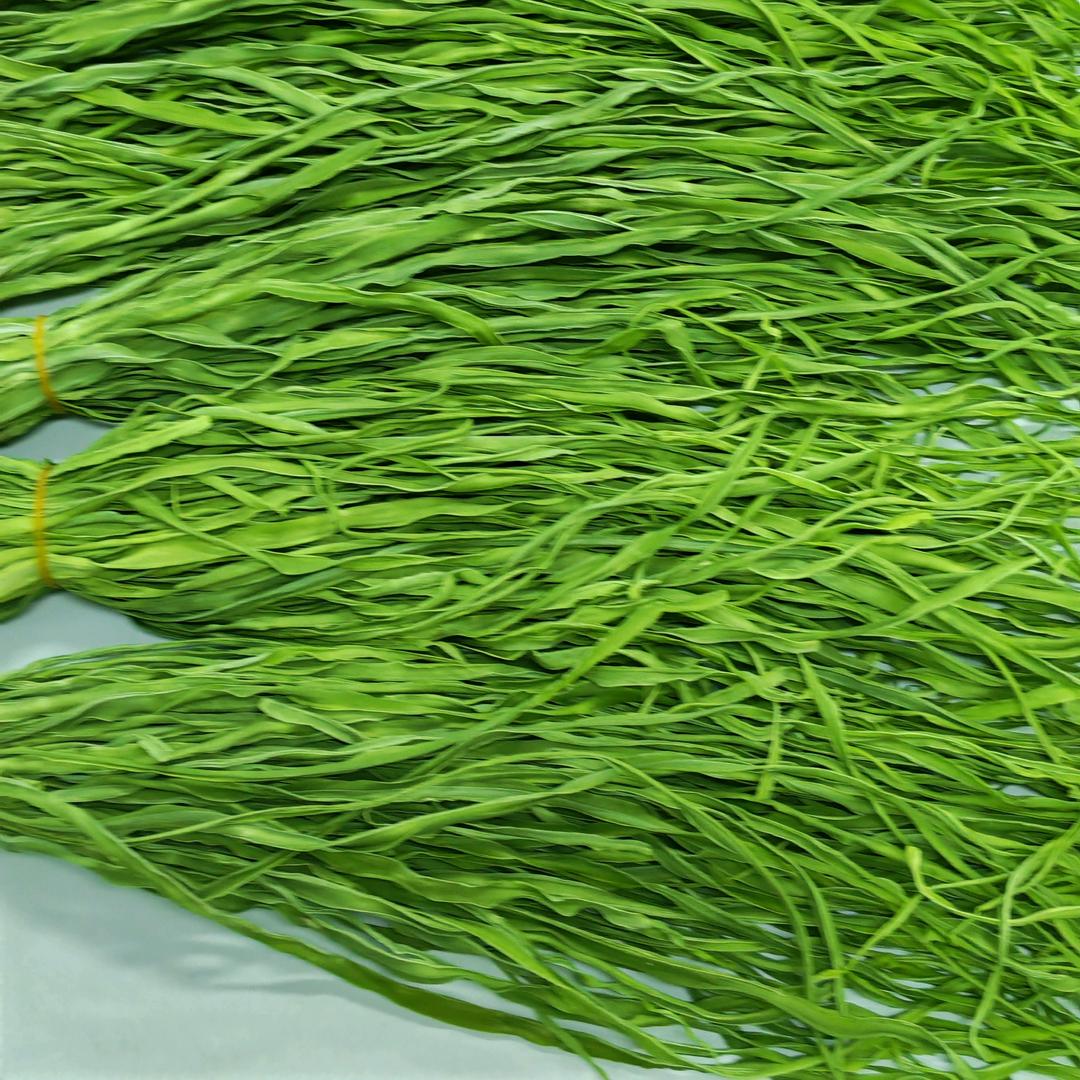 云南锦嘉农业有限公司@凤姐