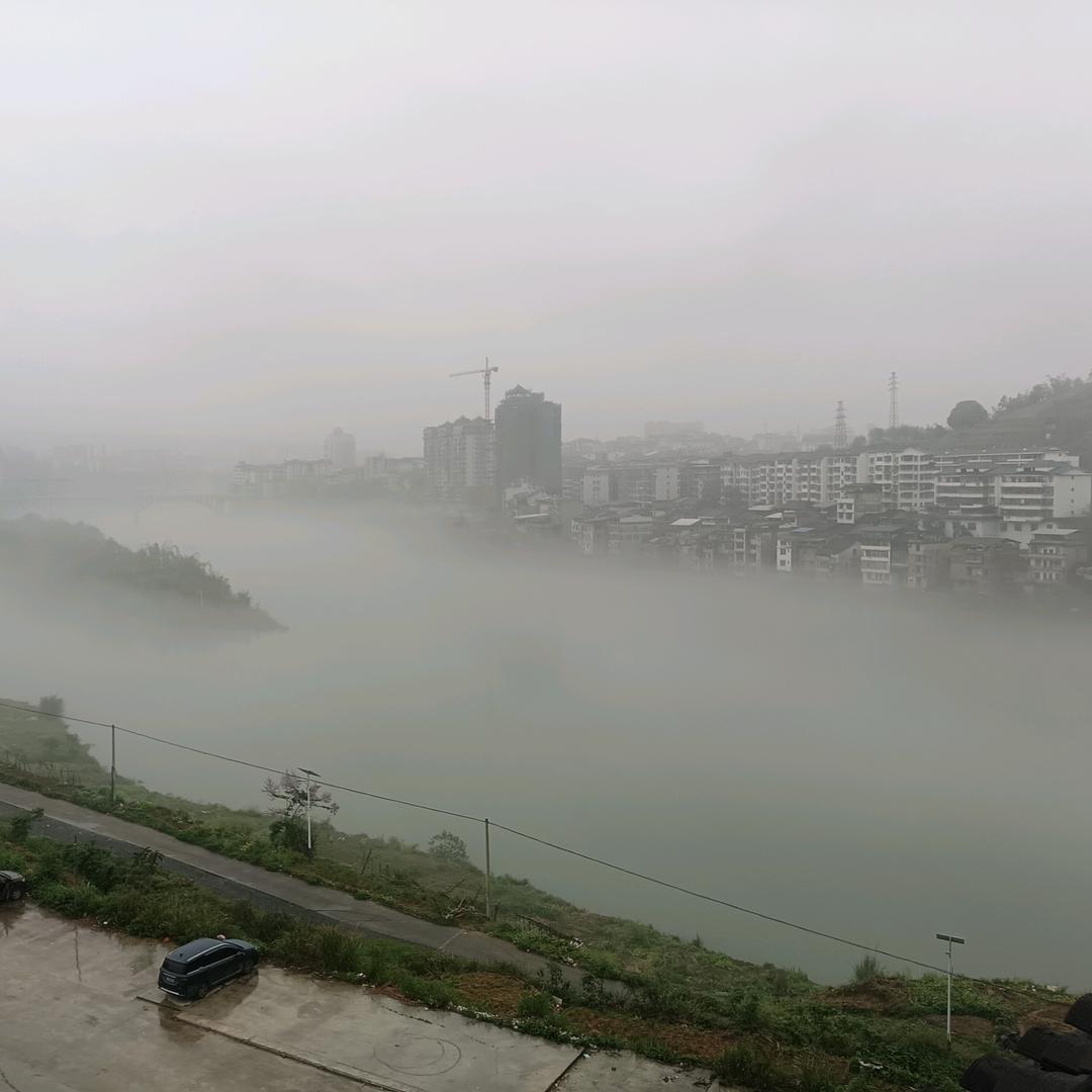 风信子