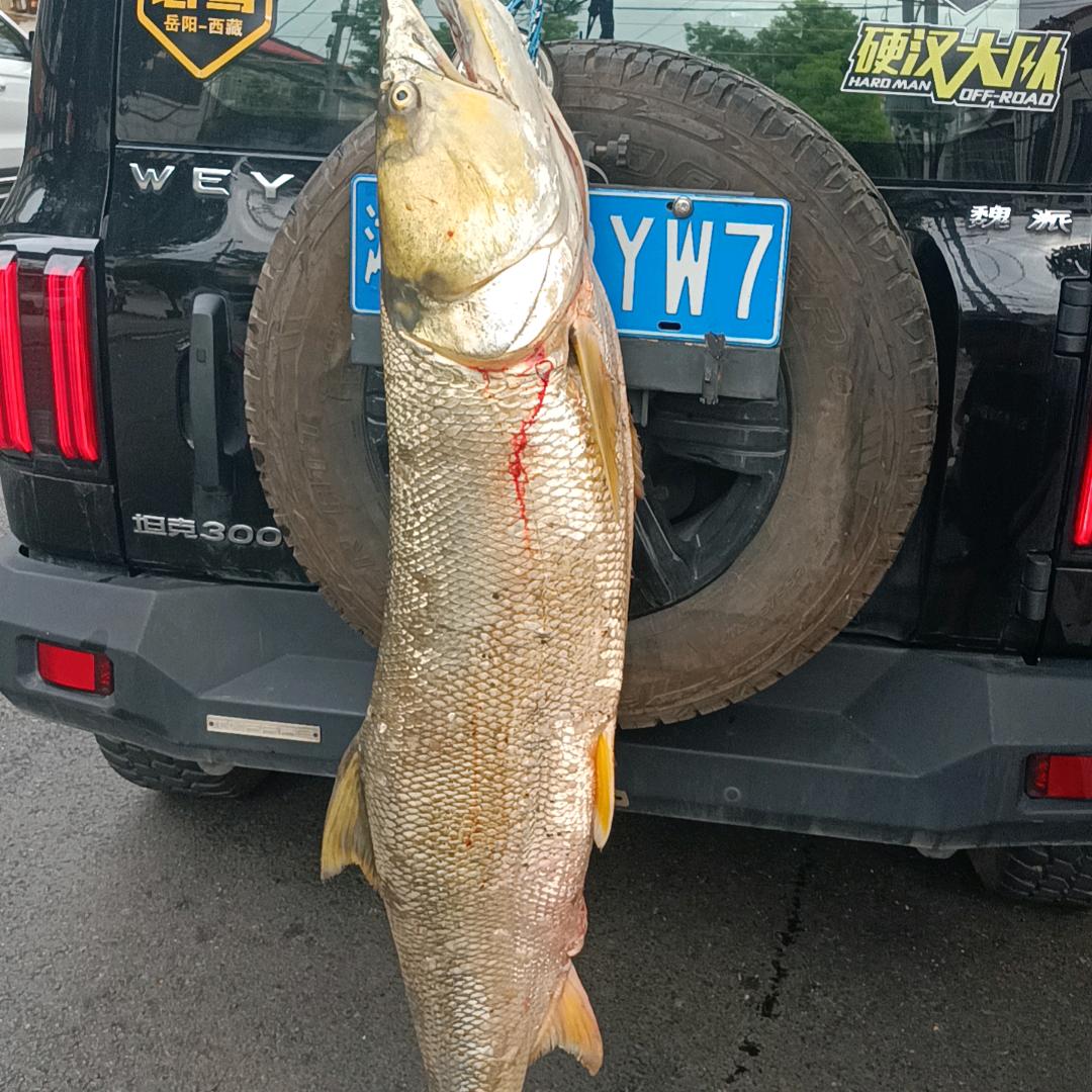 l༊྄ཻᏴ࿆Ꮻ࿆Ꭶ࿆Ꮥ࿆🚬ᐝ᭄格⿻局?