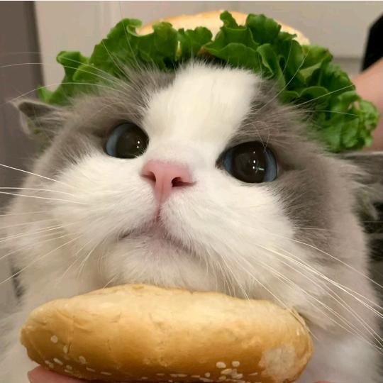 难道我就是靓仔