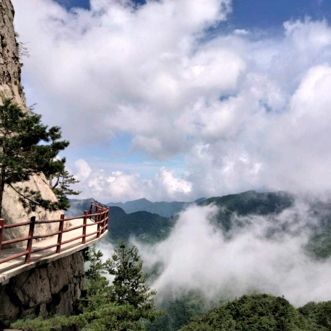助理福利号