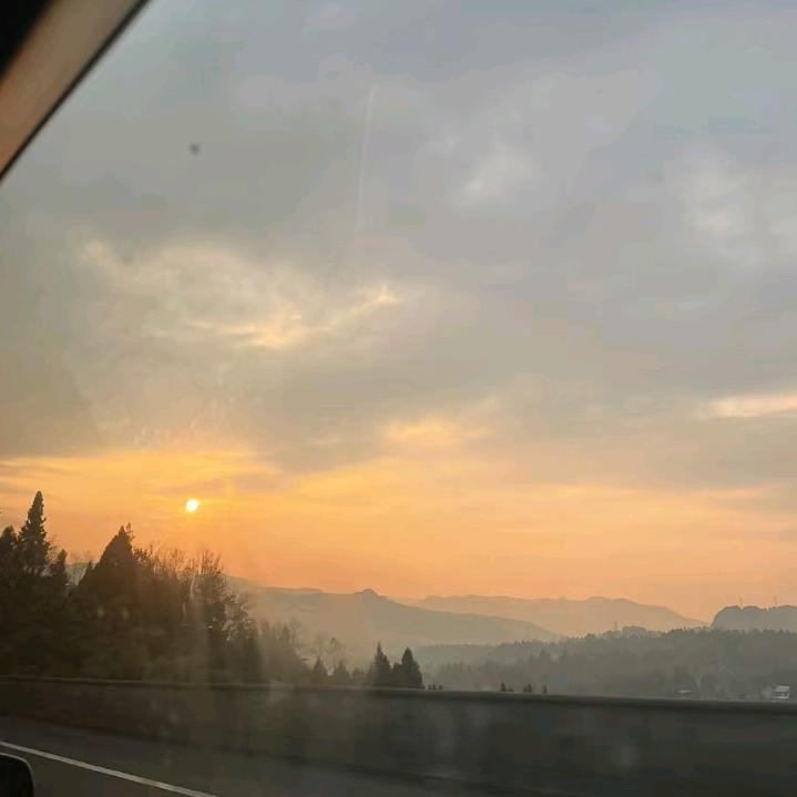 白林