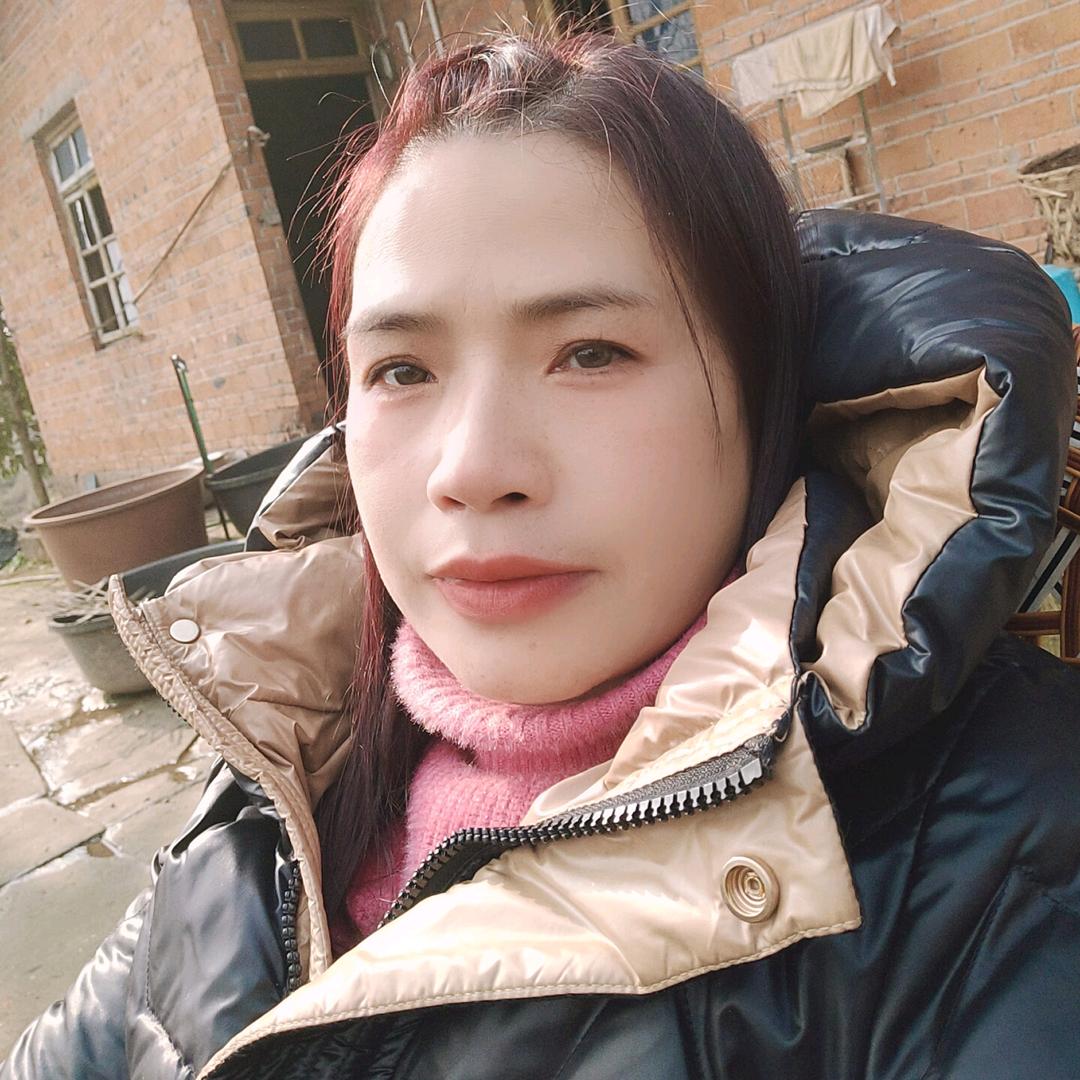 耳东陈&
