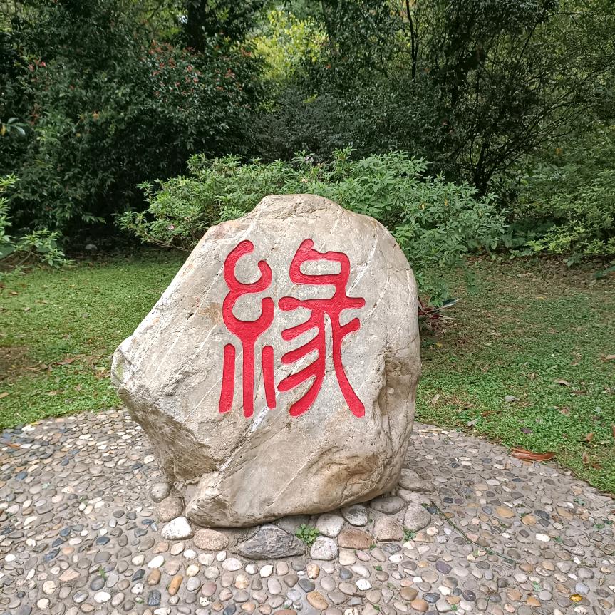 情缘
