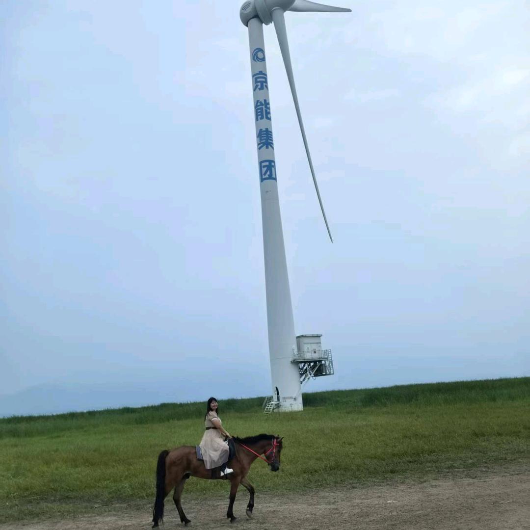 诗雨、小刘