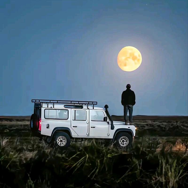 非李莫属慕杨人