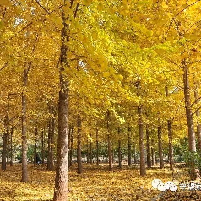 我与青春擦肩而过