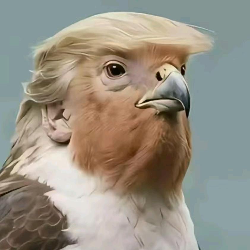 杭州小哥快印工厂