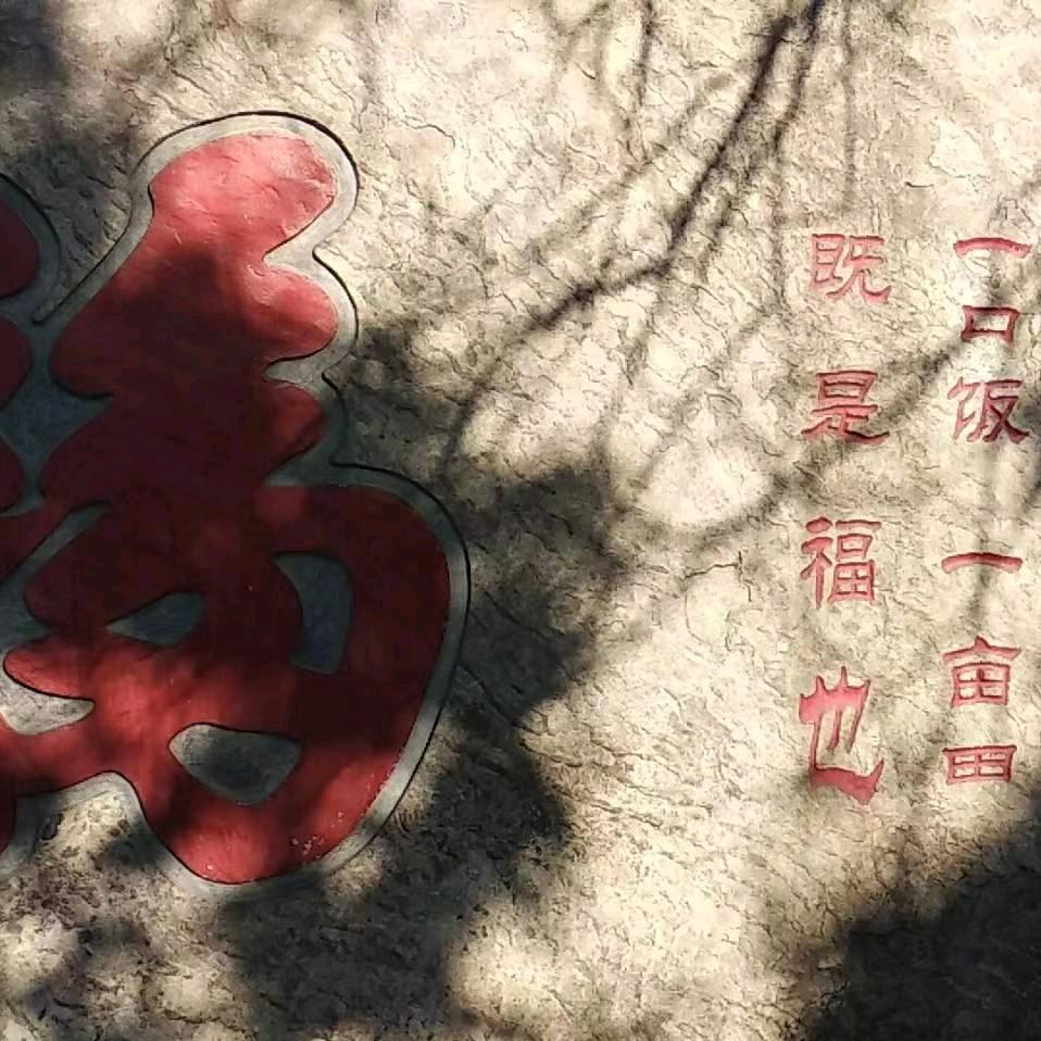 山地终结者老李