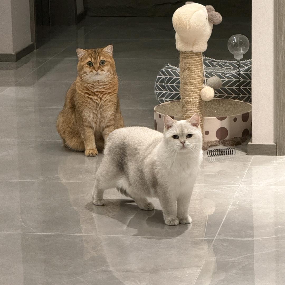 饭小暖和菜大西