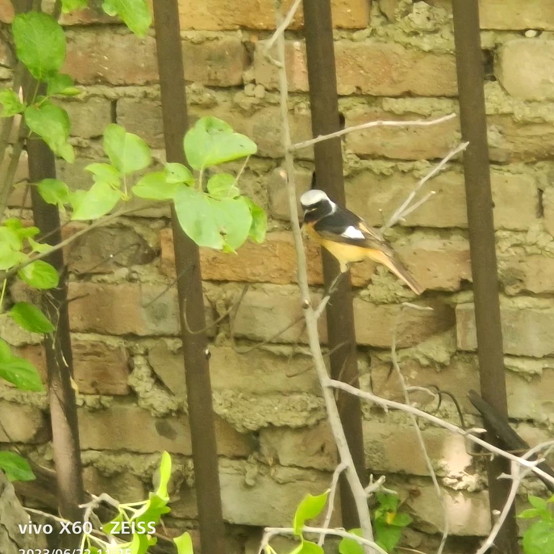 我的钱我有用👊🐔🀄