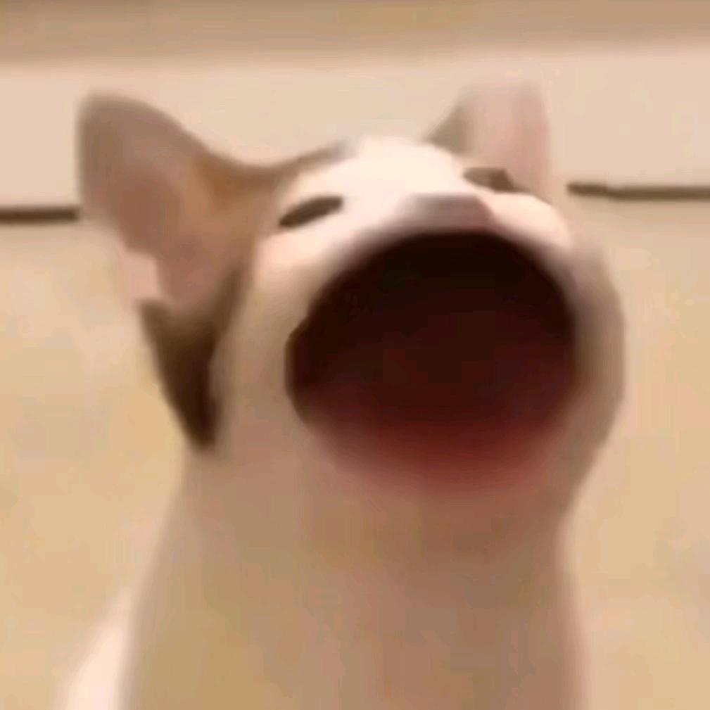 钱磊最菜
