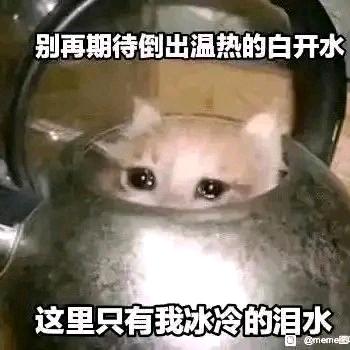 旱天慈雨