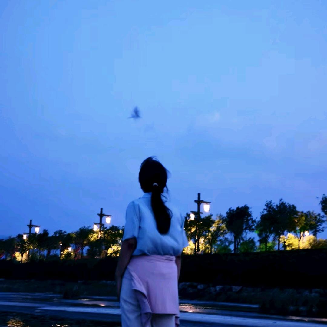 网友贺女士