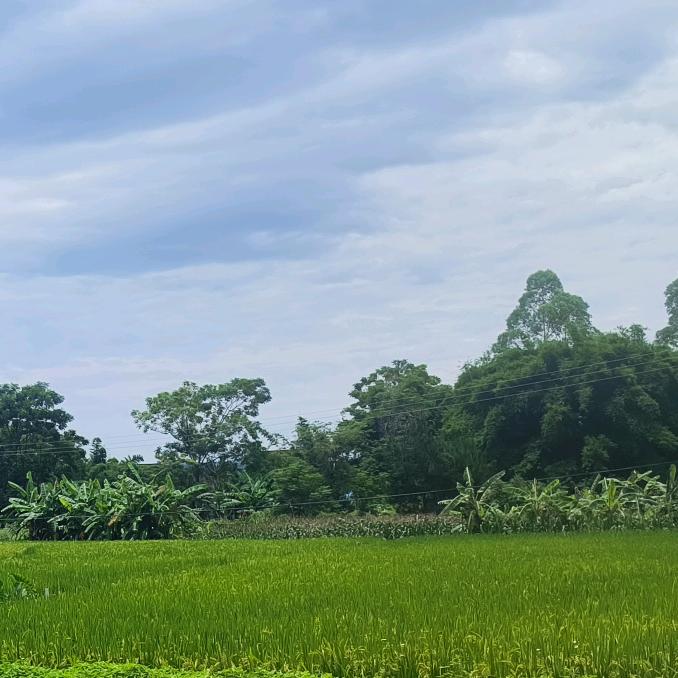 🍊🐒农村90后老头养老记