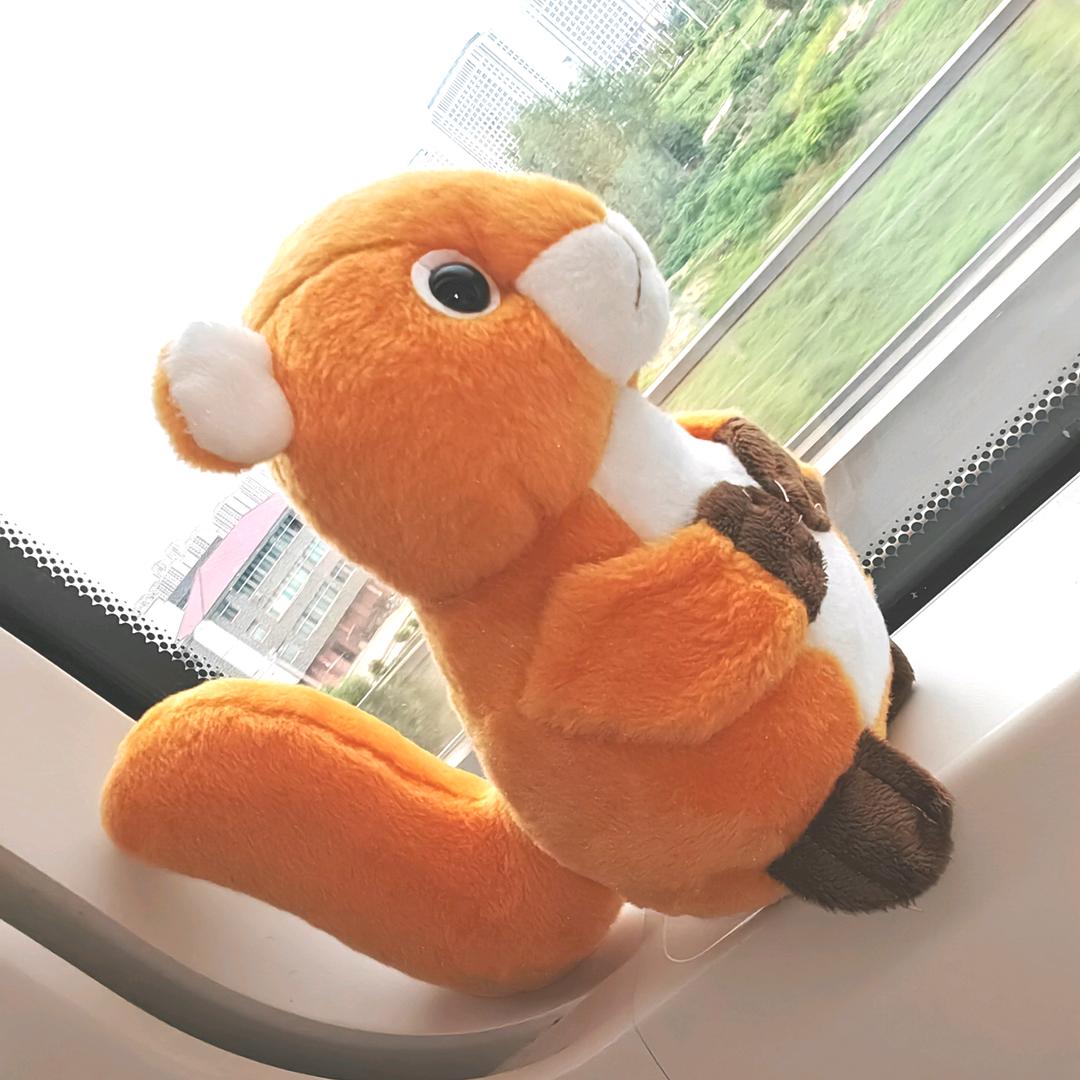 এۣۖิ  十点必须睡🥇ღ᭄