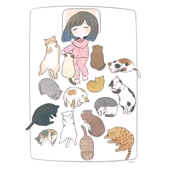 猫咪鉴赏家💍