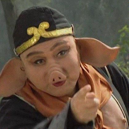闫之有理🐷