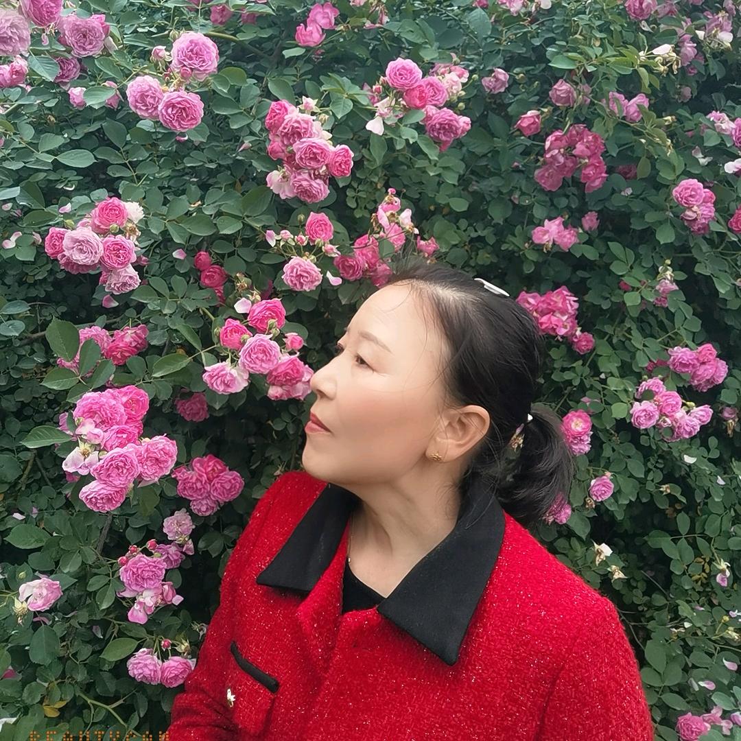 木佳