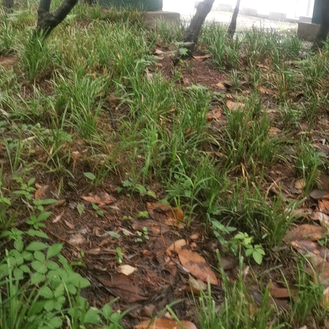 数据推导