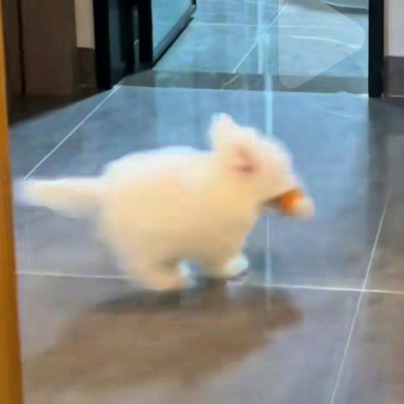 🗿（・∀・）无碍🧘‍♂️