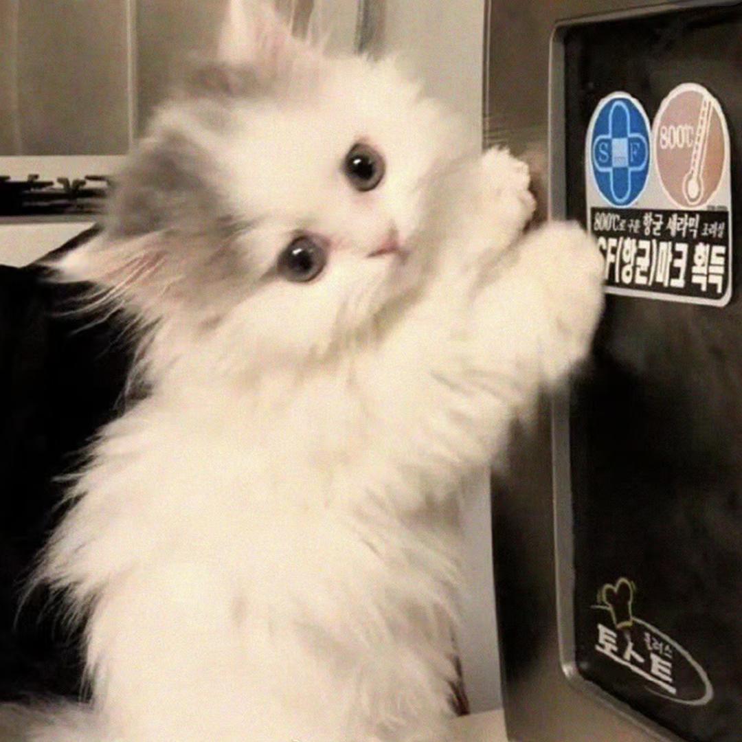 ୧⍤⃝o▬▬▬◙▅▅▅▅▅▅▅▅▅▆▇◤