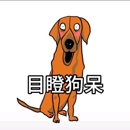 小松鼠空中旋转两周半